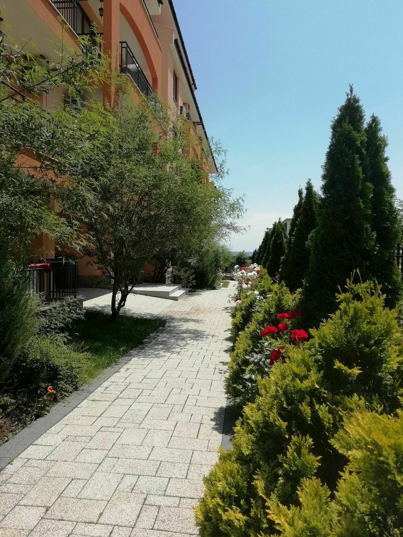 Stardreams Apartments Sveti Vlas Exteriér fotografie